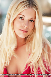 Charlotte Stokely Pink Dress